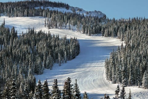 Snowmas Village 84 Apartment in Snowmass Village