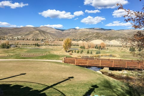 Springs of Arrowhead House in Avon