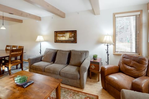 Snowmas Village K9 Apartment in Snowmass Village