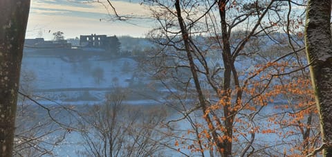 Ferienwohnung MaarBurg Apartment in Cochem-Zell