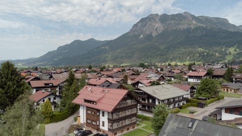 Bird's eye view, Mountain view