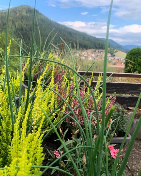 Day, Natural landscape, Mountain view