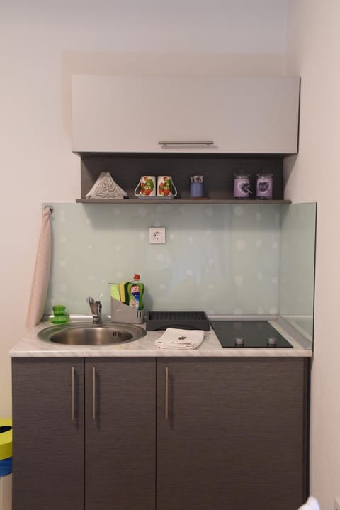 CIRIĆ APARTMANI Bed and Breakfast in Serbia