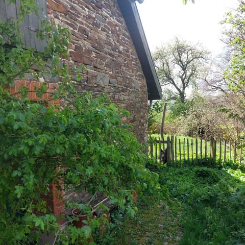 Belka am Rursee Apartment in Wallonia, Belgium