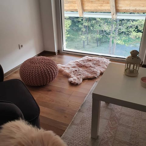 Apartmani Vukmanović Apartment in Zlatibor District, Serbia