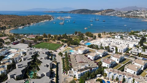 Property building, Nearby landmark, Day, Neighbourhood, Natural landscape, Activities, Bird's eye view, Beach, City view, Lake view, Mountain view, River view, Sea view, Street view, Location