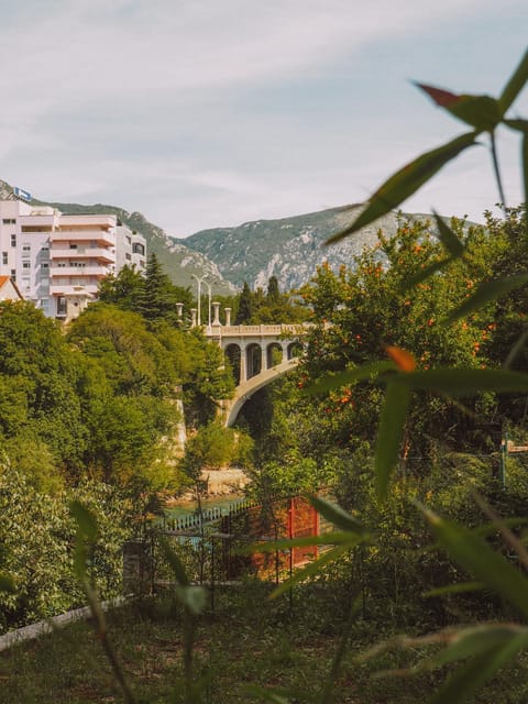 Spring, Day, Natural landscape