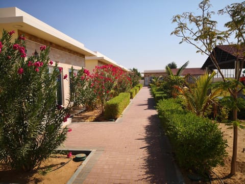 Property building, Garden