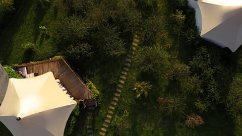 Natural landscape, Garden view
