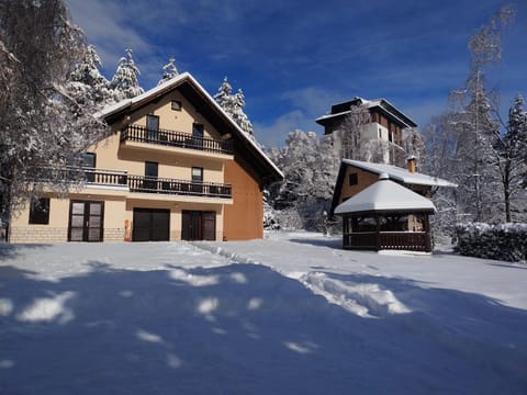 vila Nina Apartment in Zlatibor