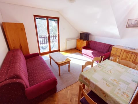 vila Nina Apartment in Zlatibor
