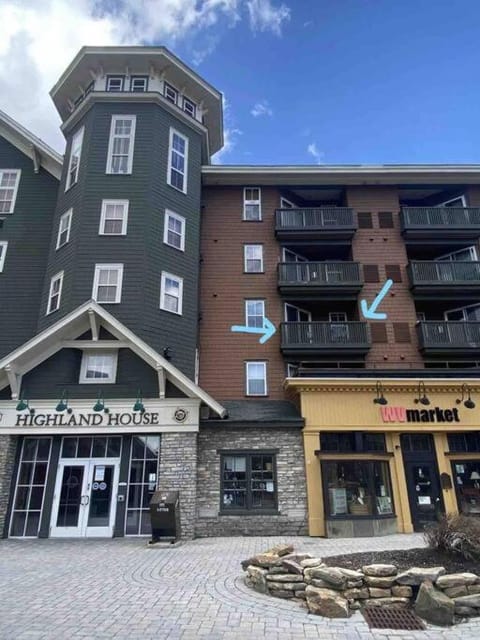 Snowshoe Mountain Retreat! Ski in and Out! Apartment in Snowshoe