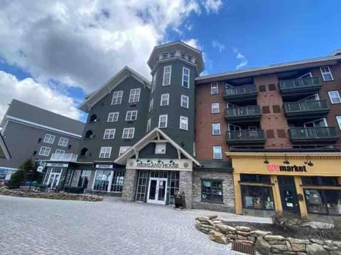 Snowshoe Mountain Retreat! Ski in and Out! Apartment in Snowshoe