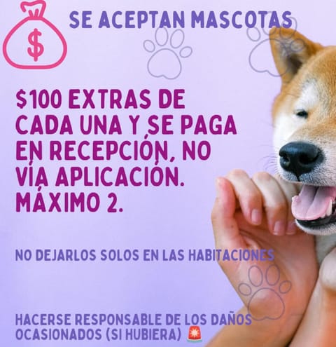 Cabañas Los Bosques del Zembo Nature lodge in Hidalgo, Mexico