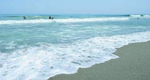 Natural landscape, Beach