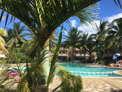 Garden, Pool view, Swimming pool