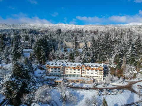 Property building, Bird's eye view, Winter