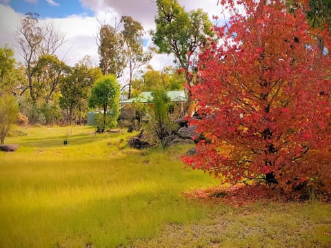 Property building, Natural landscape, Garden