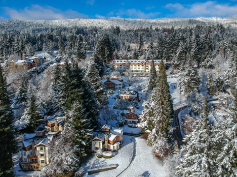 Natural landscape, Bird's eye view, Winter