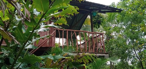 Facade/entrance, Garden