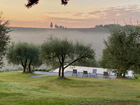 Garden, Garden view, Pool view, Swimming pool