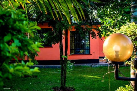 Property building, Garden view