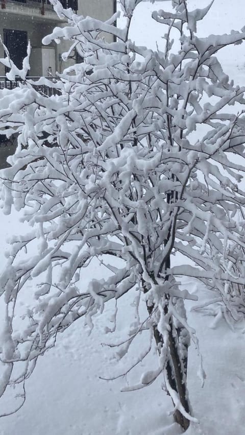 Maison Semon Apartment in Torgnon