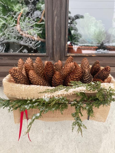 Maison Semon Apartment in Torgnon