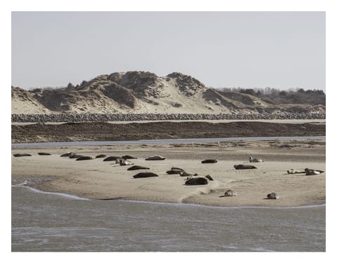 Nearby landmark, Natural landscape, Beach