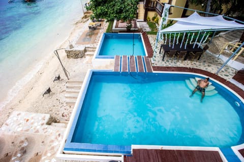 Beach, Swimming pool, Swimming pool