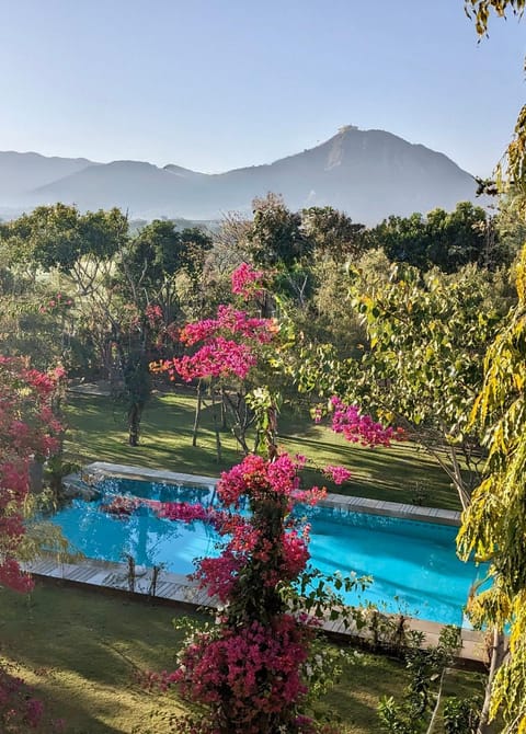 Garden, View (from property/room), Pool view, Swimming pool