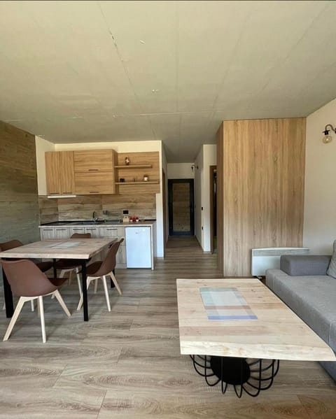 Mavrovo Apartment Apartment in North Macedonia