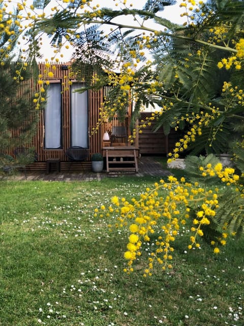 Property building, Natural landscape, Garden, Garden view