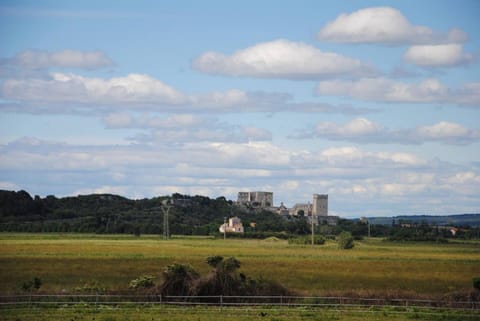 Le Mas de Lucas House in Arles
