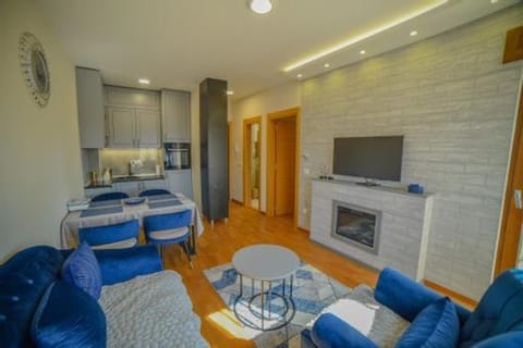 M&A S34 & besplatan SPA, Vila Elsa 2 Apartment hotel in Zlatibor