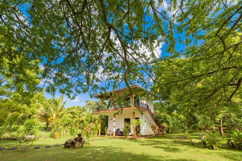 Property building, Natural landscape, Garden, Breakfast