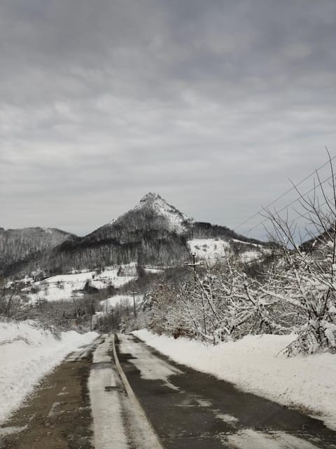 Etno kuća Ostrvica House in Serbia