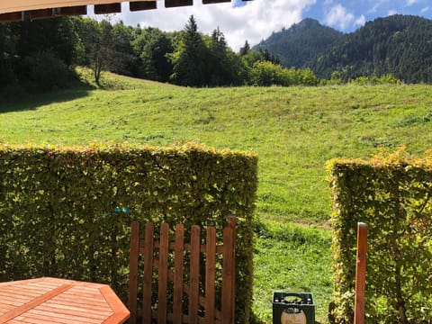 Balcony/Terrace, Mountain view