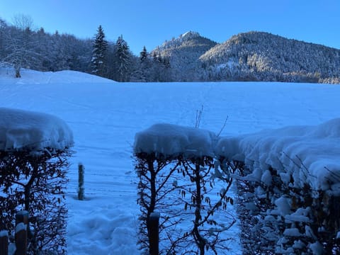 Natural landscape, Balcony/Terrace, Mountain view