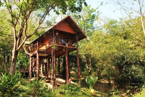 Property building, Garden, Garden view, Garden view