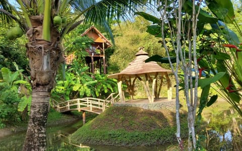 Lake view