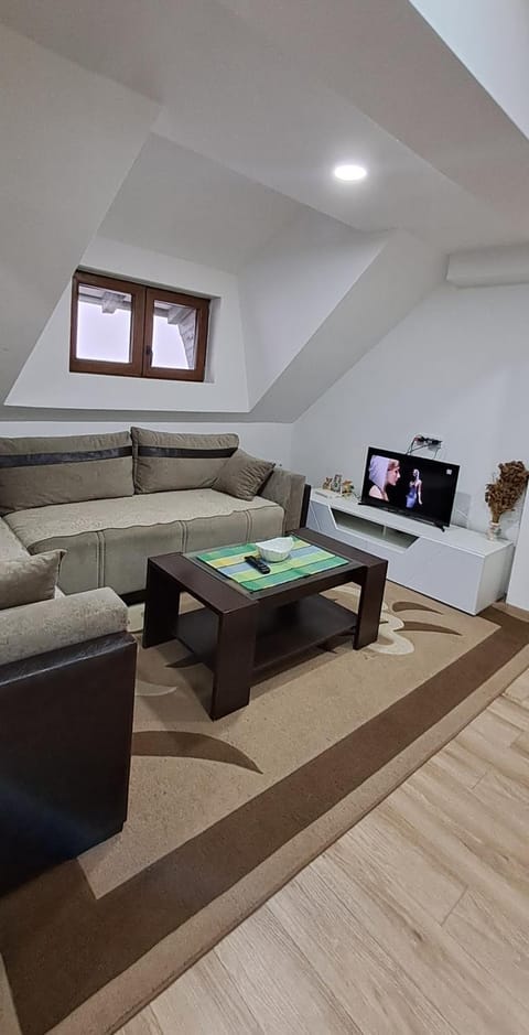 Apartman Jana Suncani Breg Apartment in Serbia