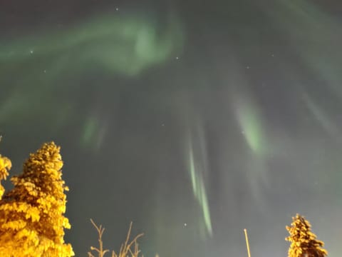 Reindeer Route Apartment Apartment in Rovaniemi