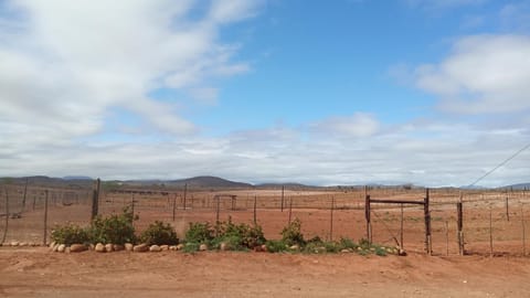 PurePlaas Self catering Volmoed Oudtshoorn Klein Karoo Apartment in Western Cape