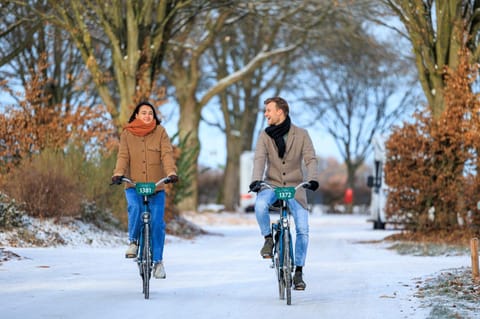 People, Natural landscape, Winter, Cycling