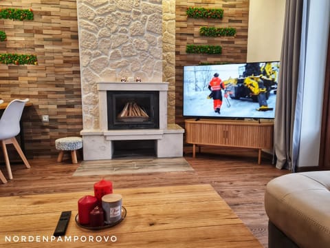 TV and multimedia, fireplace