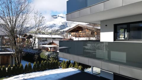 Thalhof Apartments Apartment in Salzburgerland