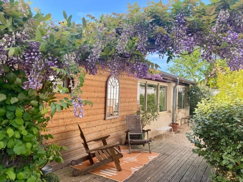 Patio, Spring, Garden view