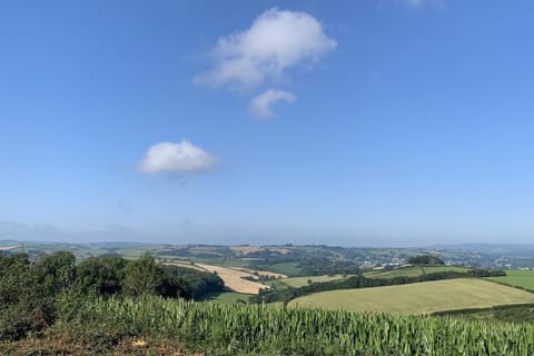 The Cabin at Barnstormers, luxury woodland setting Cabin in Paignton
