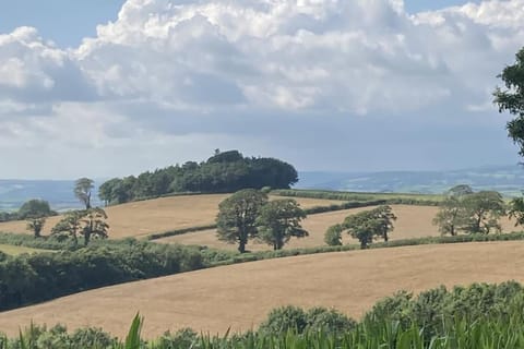 The Cabin at Barnstormers, luxury woodland setting Cabin in Paignton